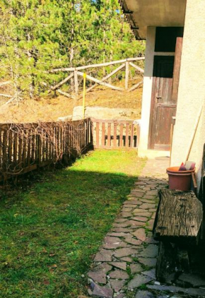 Un Giardino nel Bosco